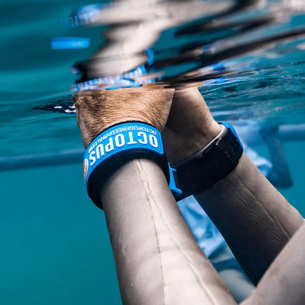 Octopus Lanyard image